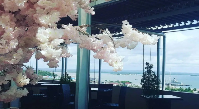 Номер Superior The Belagri Hotel and Convention