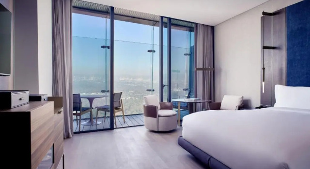 Двухместный номер Terrace Deluxe с видом на парк The Ritz-Carlton, Mexico City