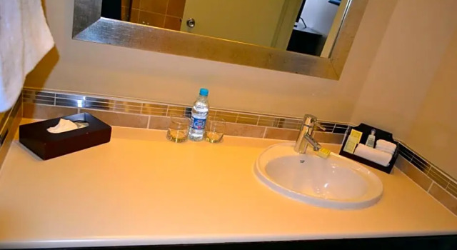 Двухместный номер Executive Southern Sun Pretoria