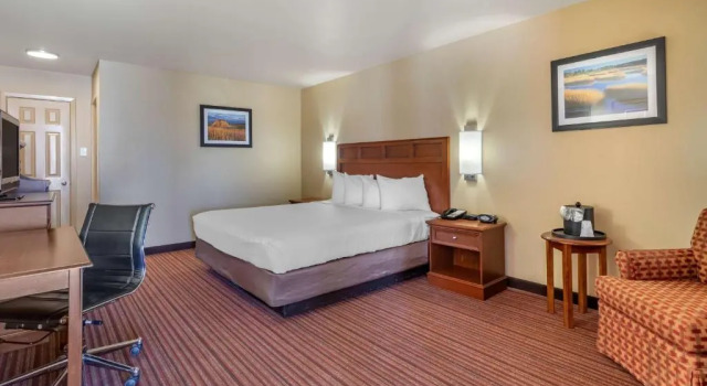 Номер Standard Best Western Dos Rios
