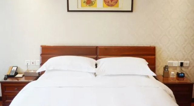 Двухместный люкс Nanjing Huadong Hotel