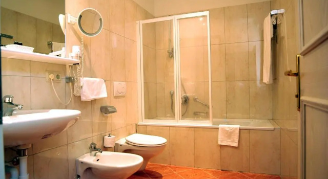 Одноместный номер Standard Hotel Grüner Baum