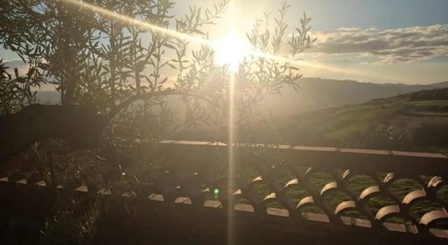 La Tana Di Luna, Book Hotel Hoteller i Biancavilla med morgenmad, Morgenmad