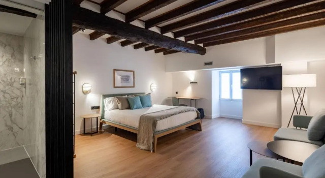 Номер Deluxe EtxeAundi Hotel Boutique