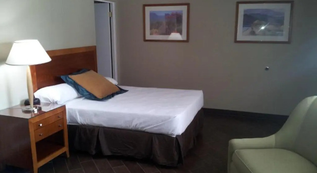 Четырёхместный номер Standard Oasis Boutique Motel