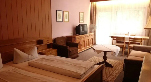 Двухместный номер Standard Hotel Park Eden