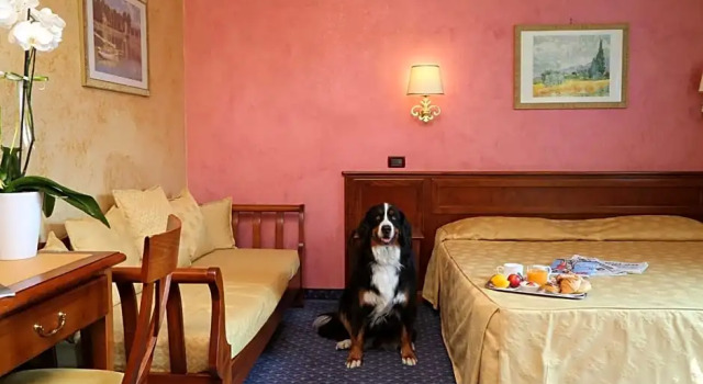 Номер Deluxe Hotel Abacus