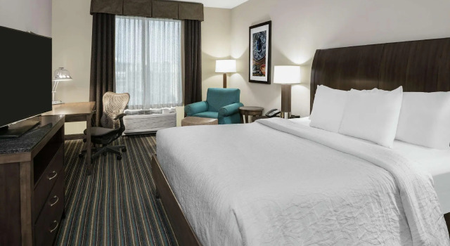 Двухместный номер Premium Hilton Garden Inn San Antonio At The Rim