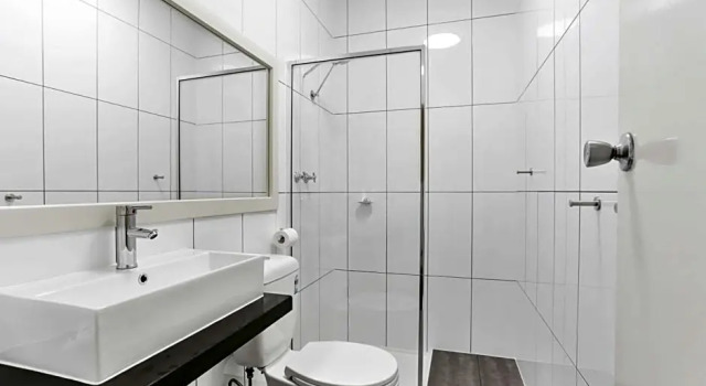 Standard Zimmer Botanical Hamilton