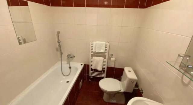 Двухместный номер Standard Hotel Pod Zelenou