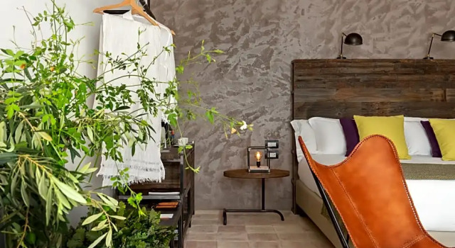 Полулюкс Standard Momentum Resort