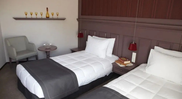 Одноместный номер Standard с балконом Rodopi Hotel