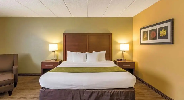 Люкс Comfort Inn Plymouth-Minneapolis