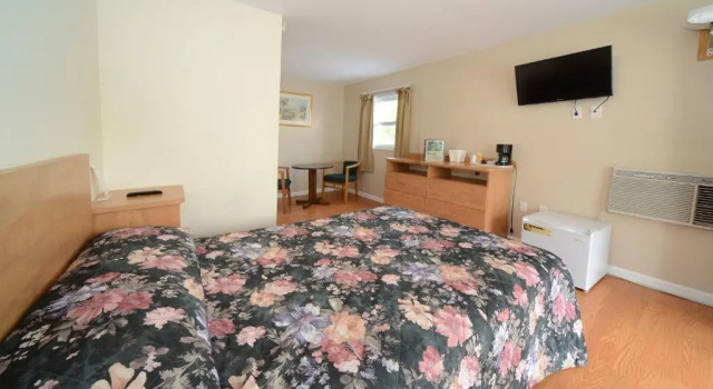 Одноместный номер Standard Studio Motel of Lake George
