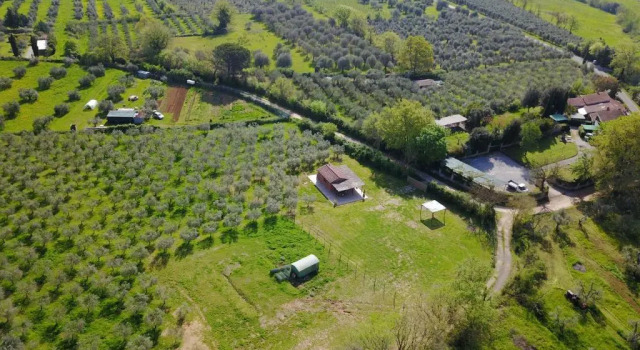Студия с видом на сад Casale Vigna Carbona