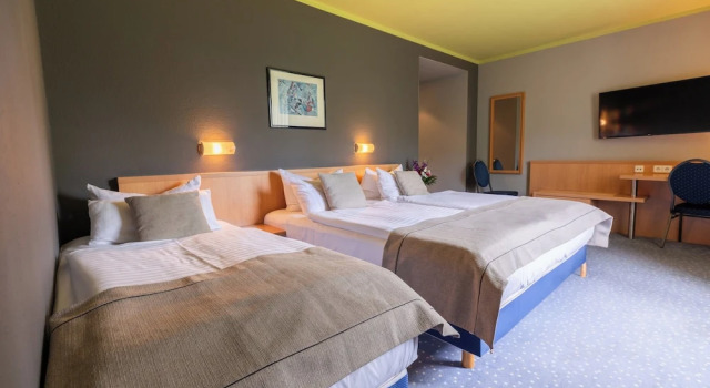 Трёхместный номер Standard Garner Hotel Cottbus Süd by IHG