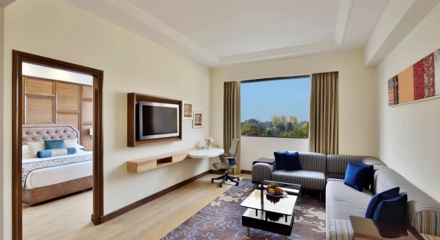 Люкс Radisson Srinagar