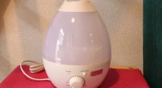 Maison Cresta Urayasu 107, Buchen Sie Hotel Urayasu Chiba