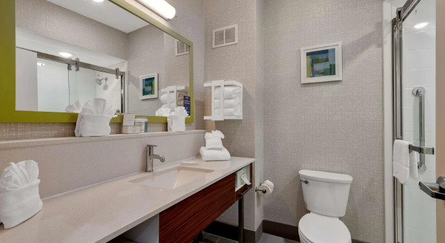 Четырёхместный номер Standard Hampton Inn and Suites Lufkin