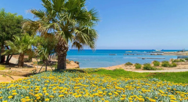 Коттедж Villa Fostira Large Private Pool Walk to Beach A C Wifi Eco-friendly - 2402