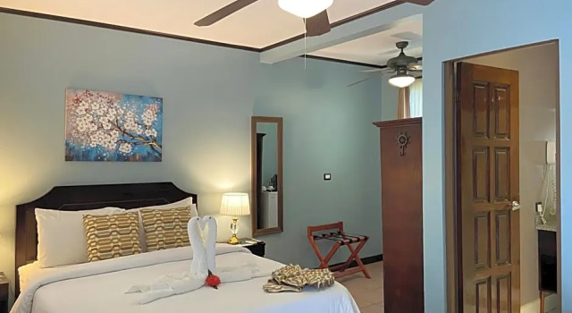 Двухместный номер Standard с видом на сад Hotel Playa Espadilla & Gardens