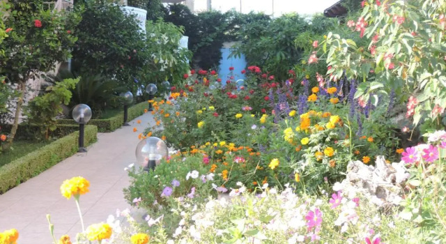 Полулюкс Golden Rose Suites