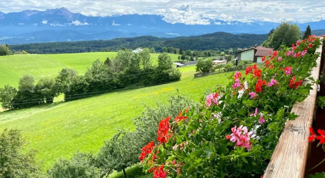 Pleschinhof