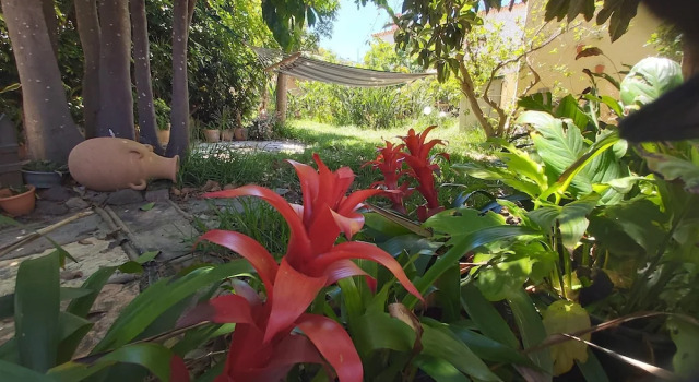 Коттедж Deluxe Finca Paraiso Casa Rural Tenerife Ecoturismo