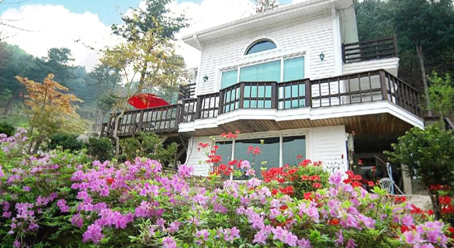 Gapyeong Pine Hill Pension