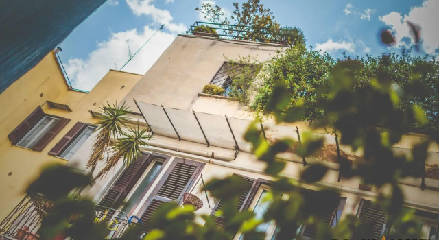 Domus Alberti
