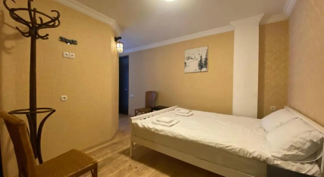 Отель ArtVilla Bakuriani