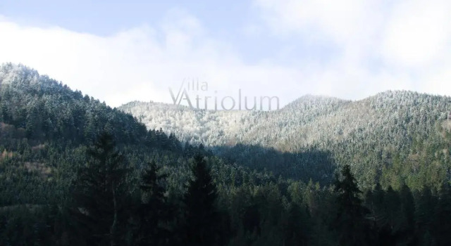 Вилла Villa Atriolum