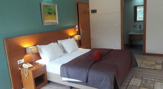 Двухместный номер Standard с балконом и с видом на сад dragos island hotel