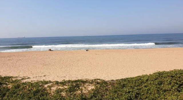 Апартаменты 34 Kyalanga Beachfront Apartment