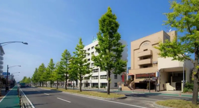 Одноместный номер Economy Hotel Sun Garden Matsuyama