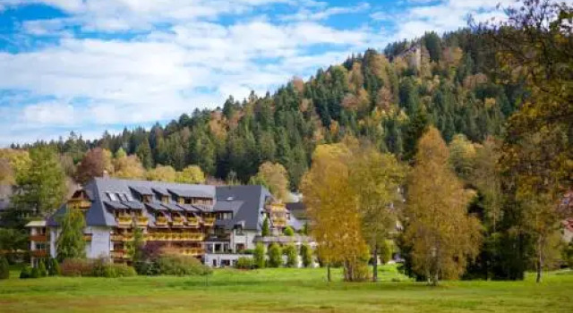 Hotel Thomahof, Reserva ahora Hotel Hoteles en Hinterzarten con piscina, Piscina