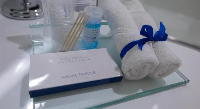 Одноместный номер Standard Hotel Boutique Santa Lucia