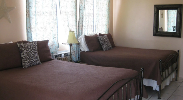 The Lazy Parrot Inn