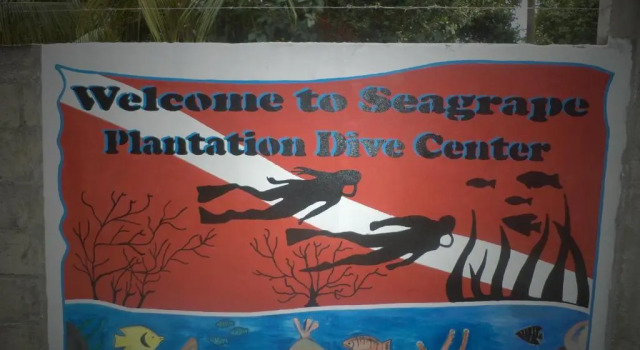 Трёхместный номер Standard Seagrape Plantation Resort & Dive Center