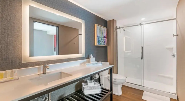Двухместный люкс Cambria Hotel & Suites Plymouth