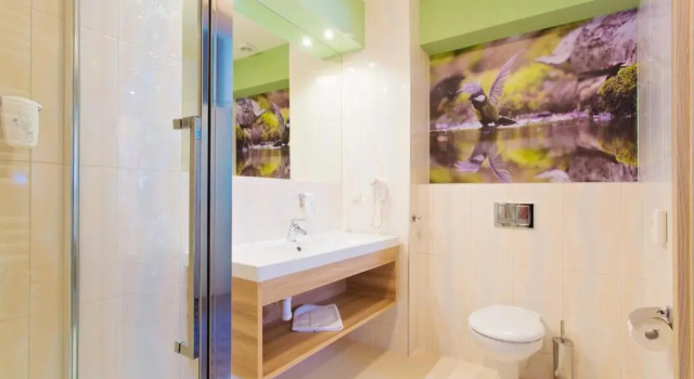 Номер Standard Cottonina Hotel & Mineral SPA Resort