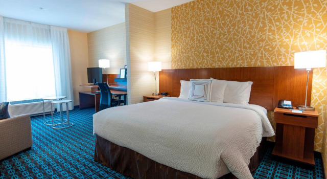 Двухместный люкс Fairfield Inn & Suites by Marriott Atlanta Woodstock