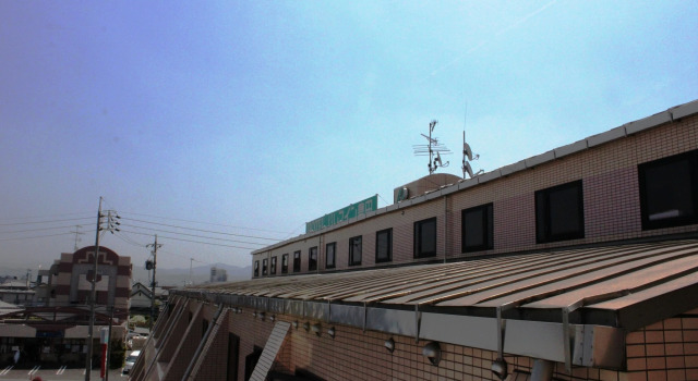 Palace Inn Toyota