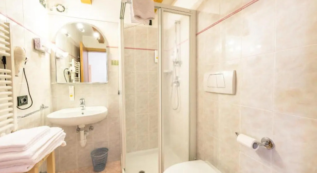 Номер Standard Alpstyle Hotel Albolina Wellness & Beauty