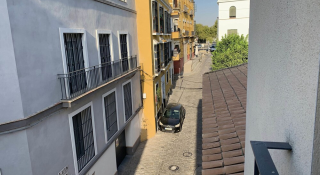 Luz y tranquilidad junto al Guadalquivir