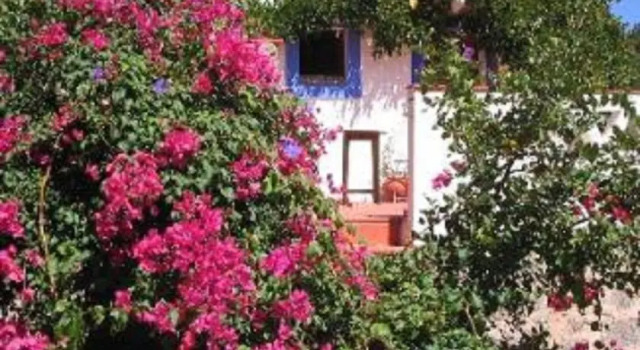 Quinta da Relva