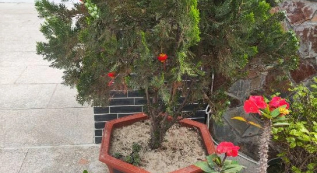Meizhou Island Qingfeng Cottage Guesthouse (Lianchi'ao Beach Branch), Book Vacation Home Putian Fujian