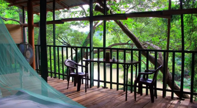 Семейный номер Standard River Side Cabana