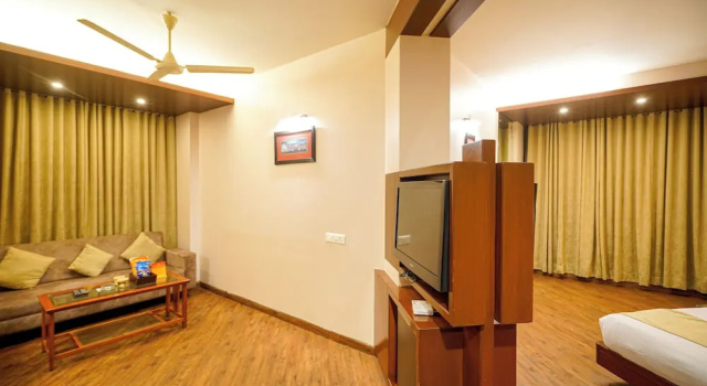 Одноместный люкс Standard Hotel Mayura