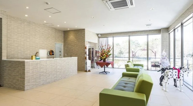 Izumigo Yatsugatake Dog Paradise Cottage